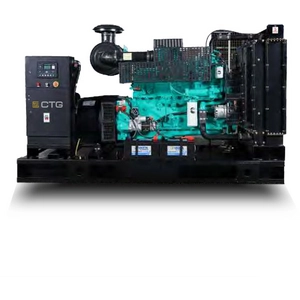 Дизельный генератор CTG 300C